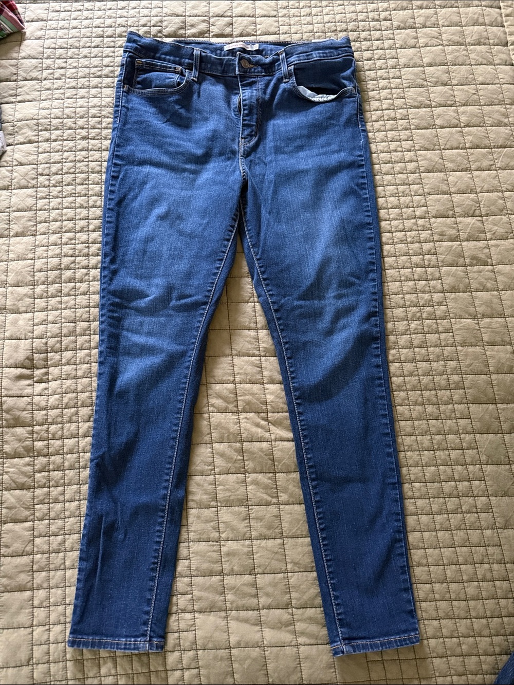 Levi's Women's Skinny Jeans in Blue Denim
